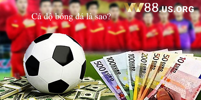 Cá độ bóng đá là sao?