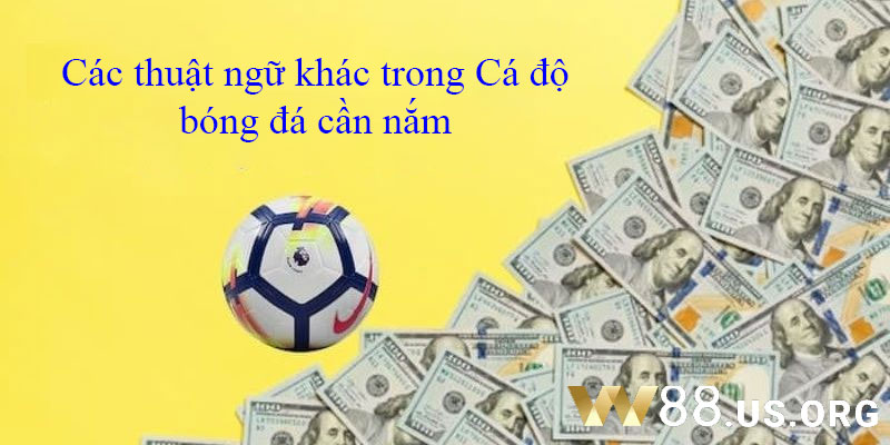 Các thuật ngữ khác trong Cá độ bóng đá cần nắm